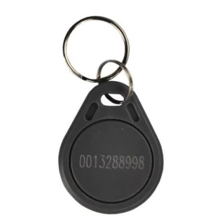 RFID Schlüsselanhänger BS-02GY 125kHz grau mit Nummer